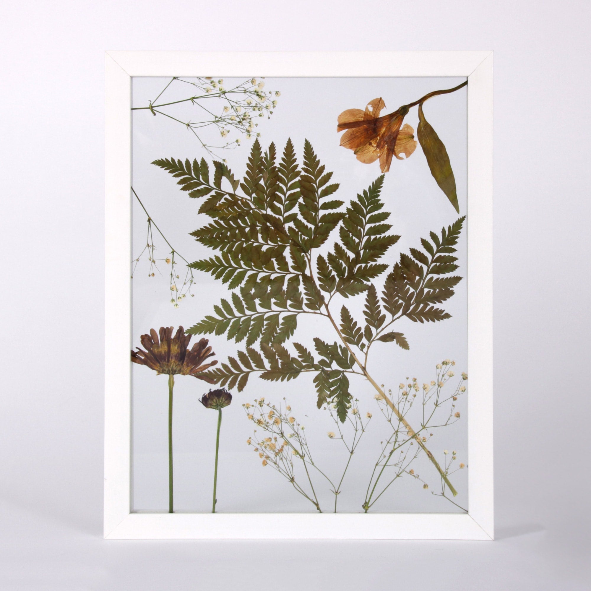 Pressed Flower Wall Decor