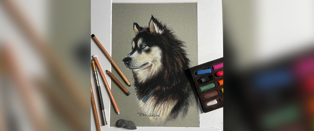 Portrait of a Husky Dog in Dry Pastel (FR)