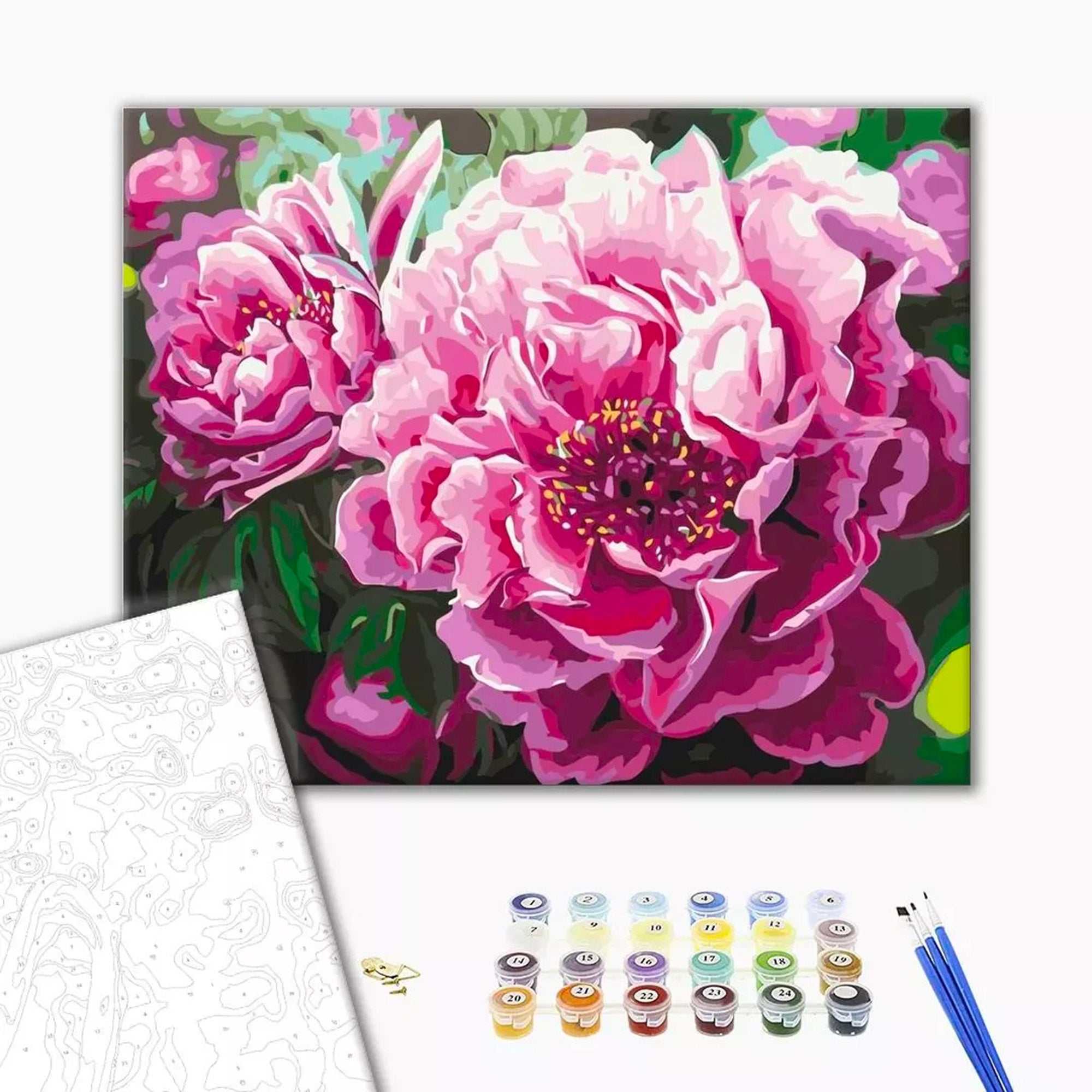 Paint by Numbers Kit - 