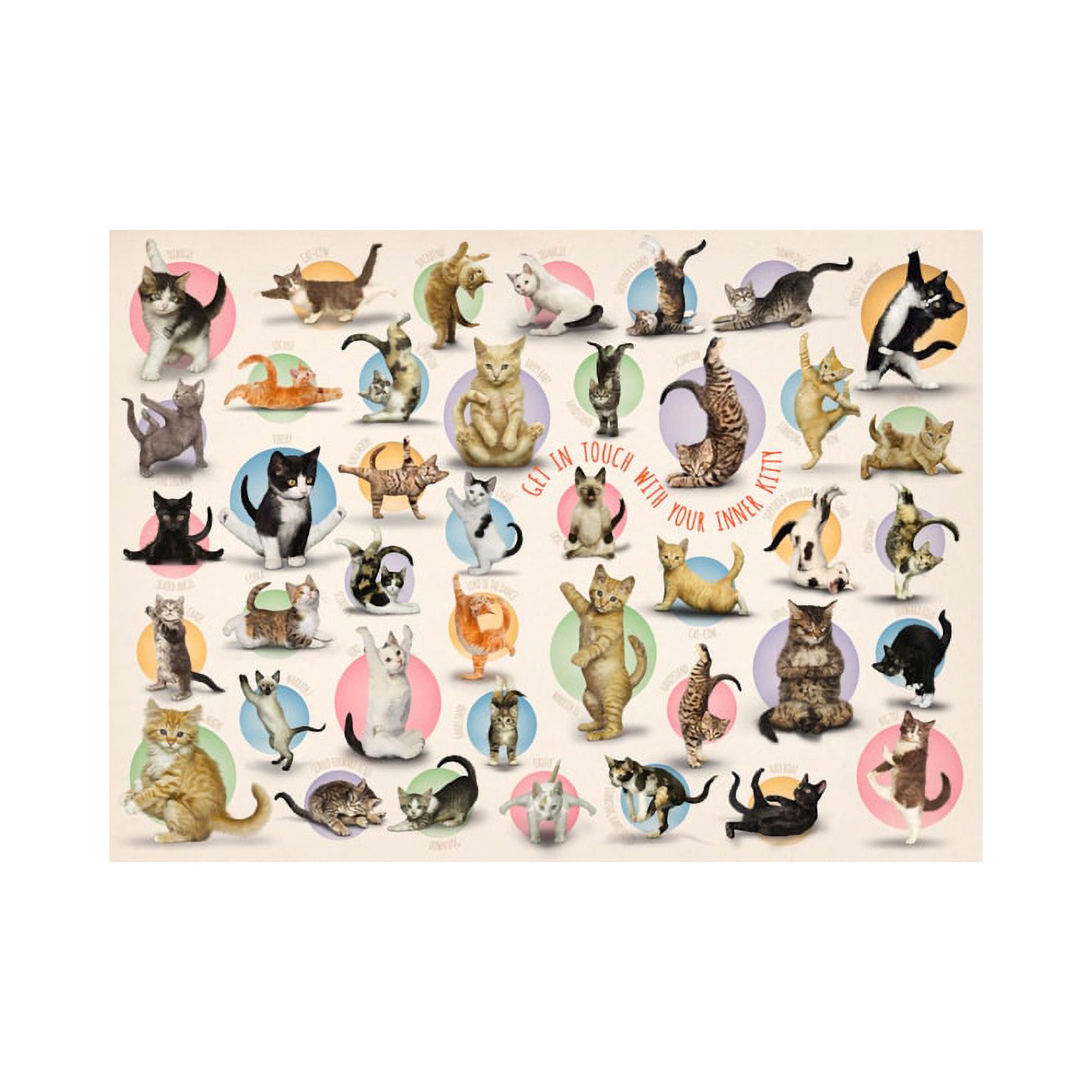 300-Piece XL Puzzle - 