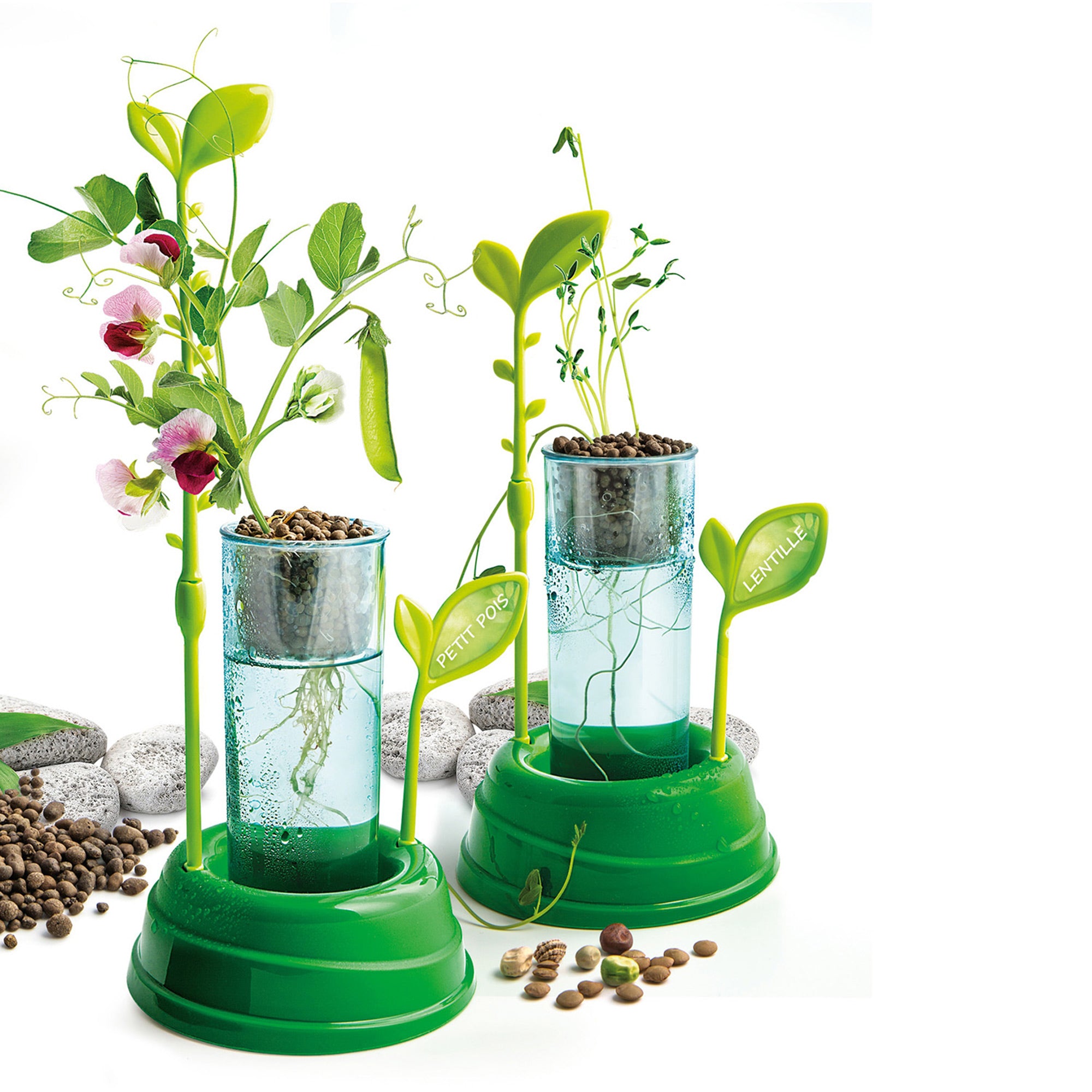 Botany & Hydroponics Science Kit - French Ed. | DeSerres