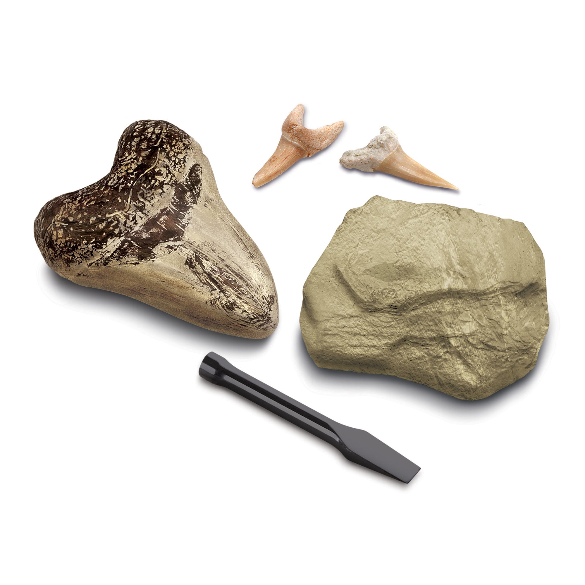 Mini Shark Tooth Excavation Kit &VerticalLine; DeSerres