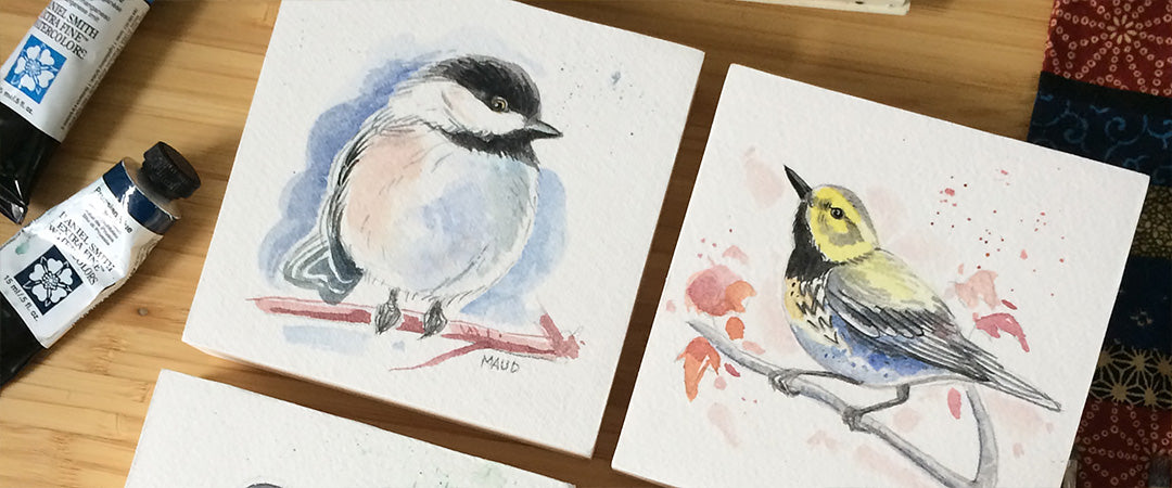 Watercolour Birds of Quebec (FR)