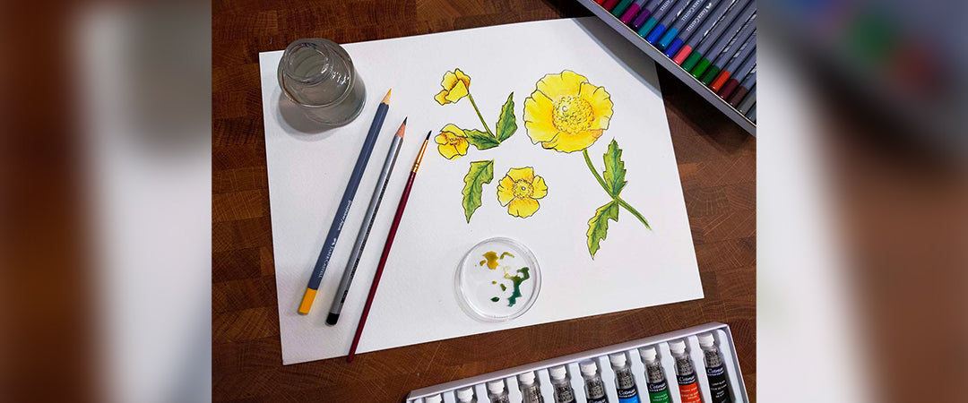 Introduction to Botanical Watercolour Painting (EN)