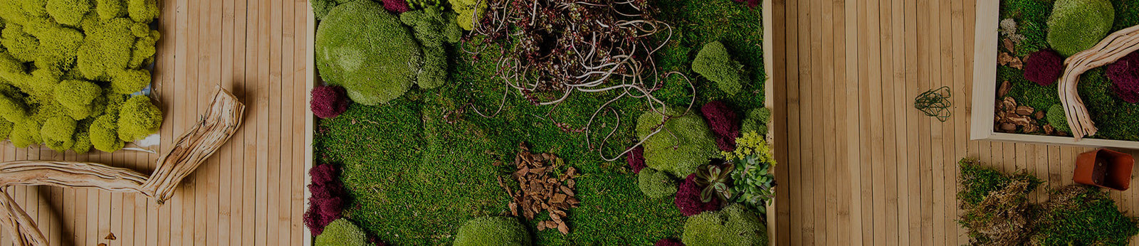 Supermoss