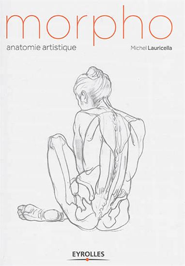 Morpho : anatomie artistique