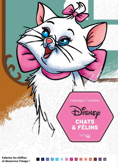 Chats & félins