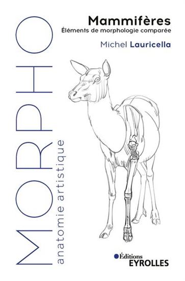 Morpho Mammifères : éléments de morphologie comparée