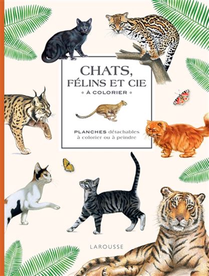 Herbier chats et autres félins à colorier
