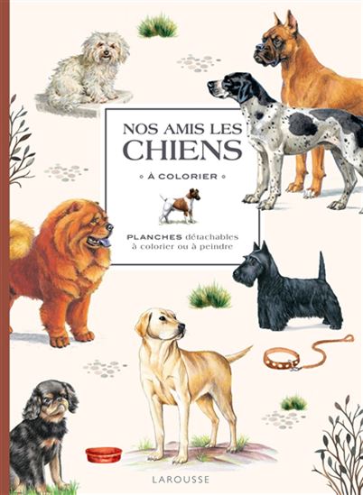 Herbier chiens et autres canidés à colorier