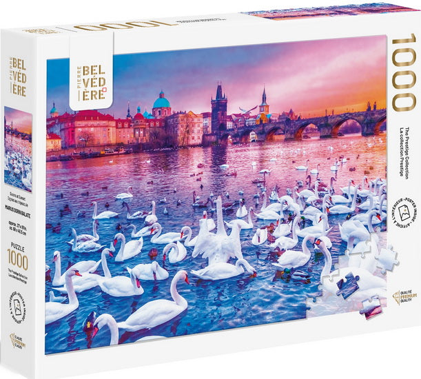 Swans at sunset 1000pc