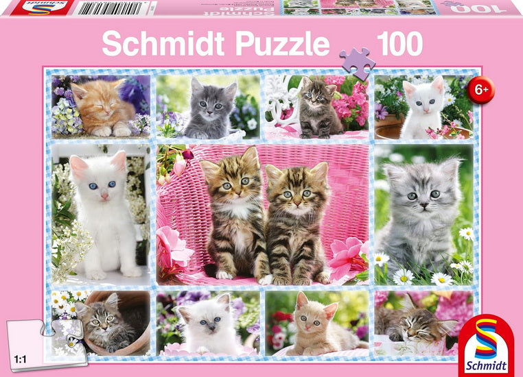 Kittens 100pc