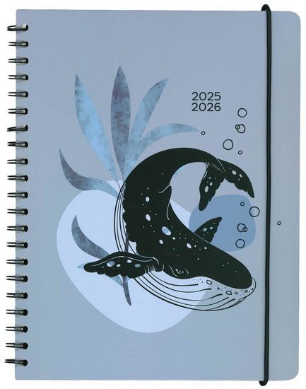 Agenda 25/26 baleine 1s/2p