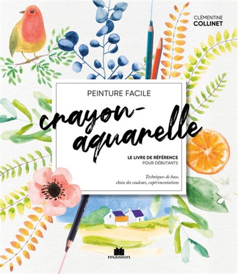 Crayon-aquarelle : Le livre de référence pour débutants