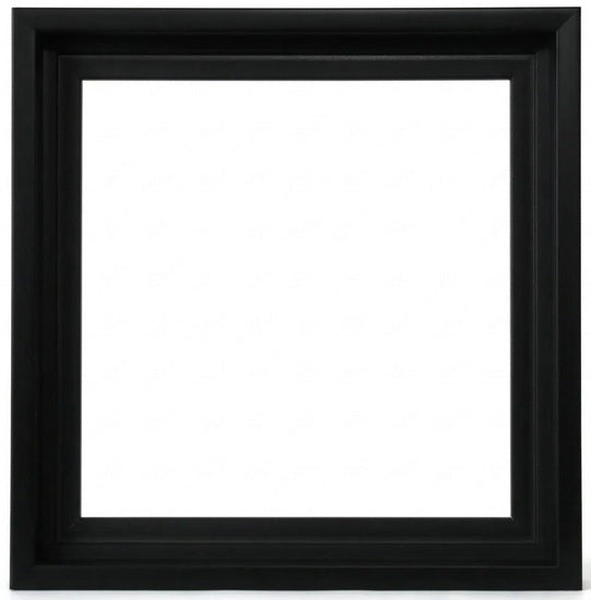 Cadre flottant musée noir - 16x16po