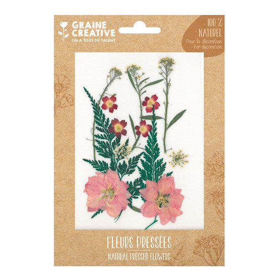 Fleurs pressées naturelles - rouge prairie, 13 pièces