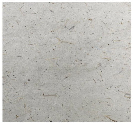 **Fc pap.murier motif soie beige 18.5x25