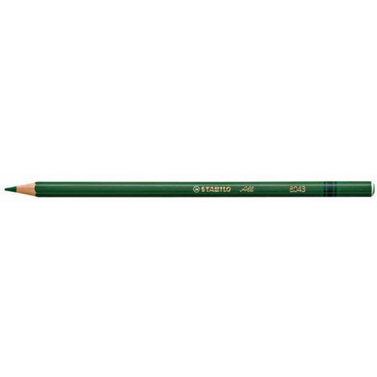 Crayon de couleur stabilo all - vert