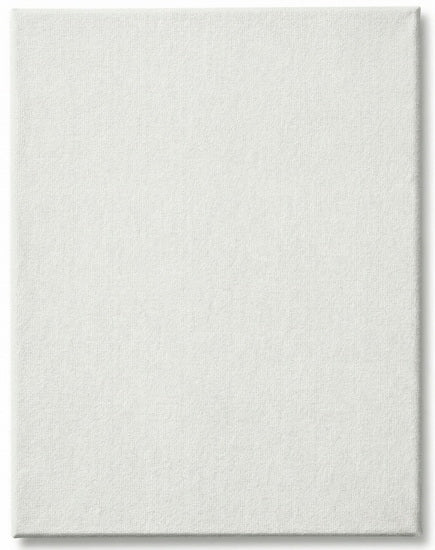 Canvas Board - 16 X 20 INCHES