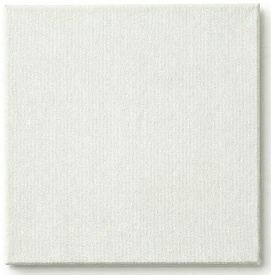 Toile cartonnée - 4 x 4 pouces