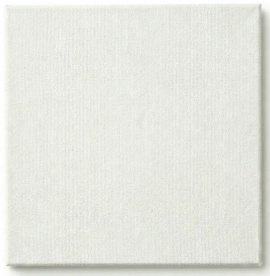 Toile cartonnée - 6 x 6 pouces