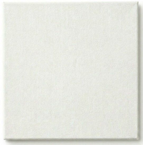 Toile cartonnée - 8 x 8 pouces