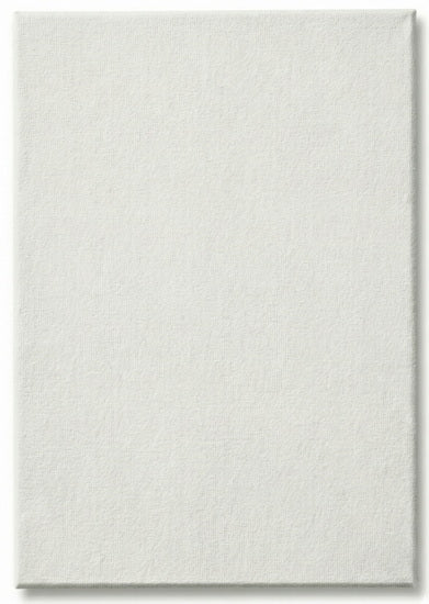Toile cartonnée - 10 x 14 pouces