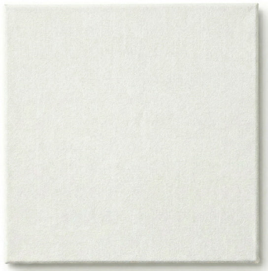 Toile cartonnée - 12 x 12 pouces