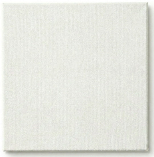 Toile cartonnée - 16 x 16 pouces