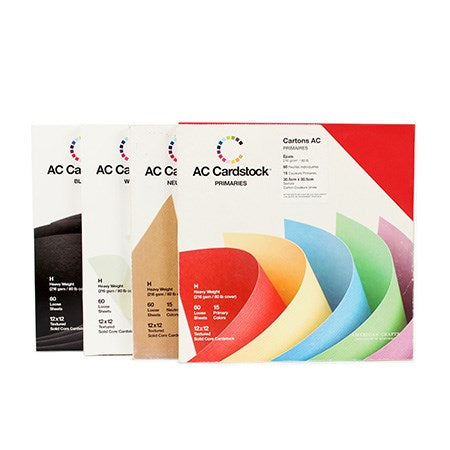 Ensemble de cardstock 12x12 po