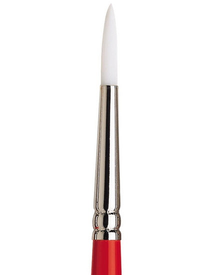 University Brush Short Round S233 - #6