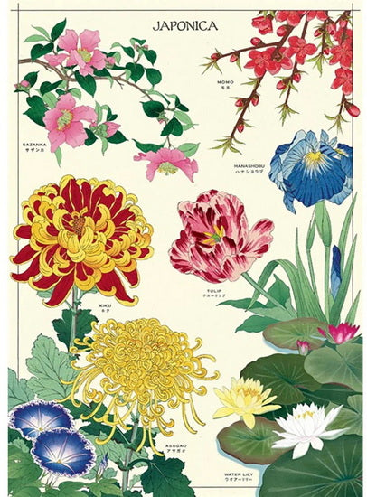 Japanese Poster - 20x28in