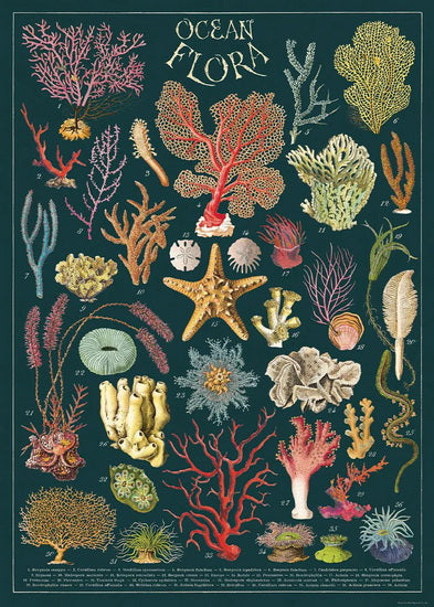 Ocean Flora Poster - 20x28po