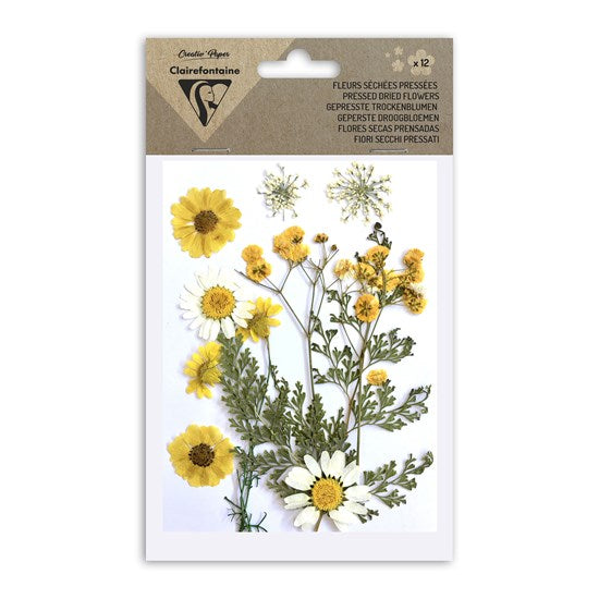 Ens. 12 fleurs séchées assorties - jaune