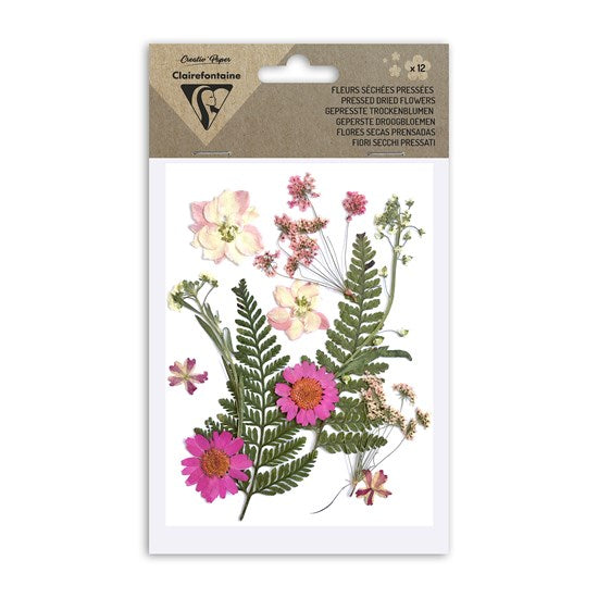 Ens. 12 fleurs séchées assorties - rose