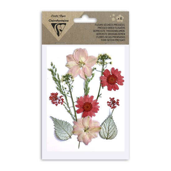 Ens. 12 fleurs séchées assorties - rouge