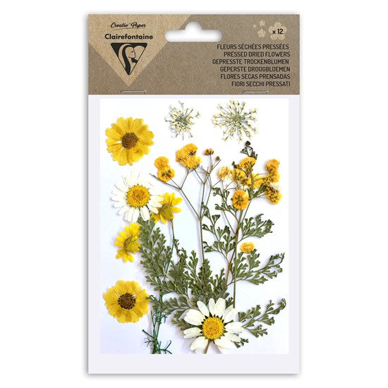 Ens. 12 fleurs séchées assorties - multicolore