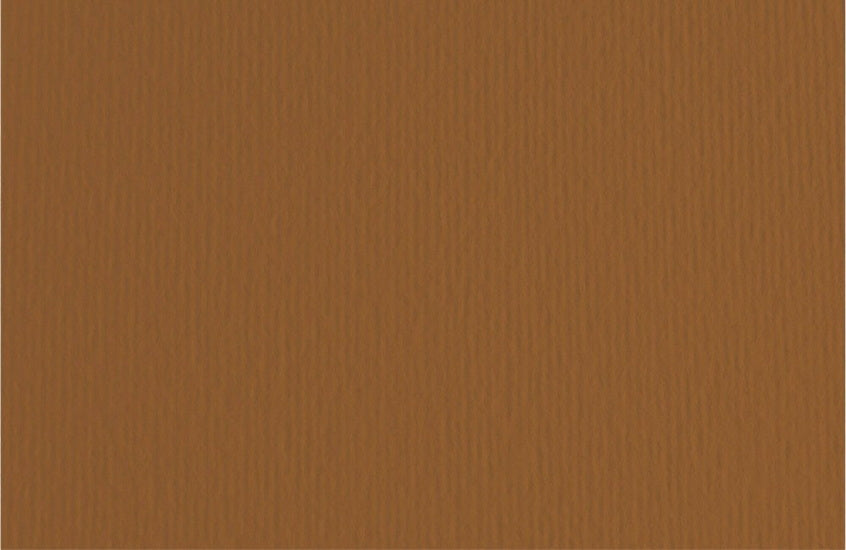 Fabriano Bristol Board - BROWN INCH - 20 X 28 INCHES GRAMPERSQUA
