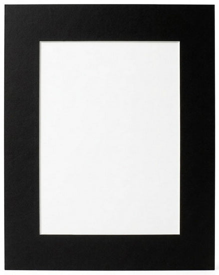 Passe-partout ph neutre noir - 16x20/8x12po