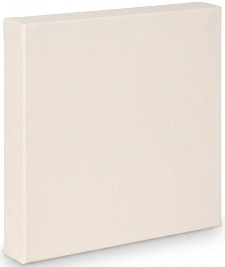 Artist canvas gallery - 20x20"