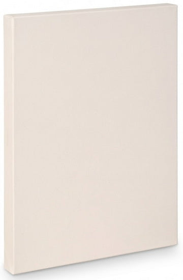 Artist canvas gallery - 20x30"