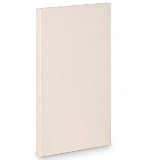 Toile artiste galerie - 20x40po