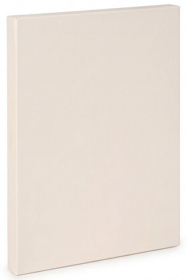 Artist canvas gallery - 22x28"