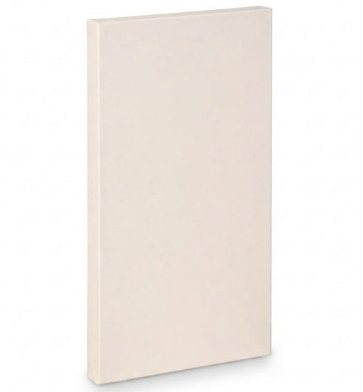 Artist canvas gallery - 24x48"