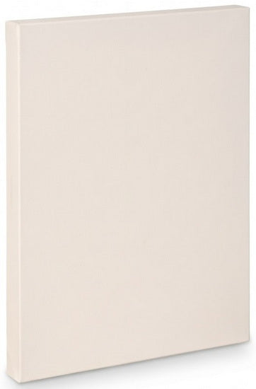 Artist canvas gallery - 30x48"