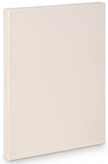 Artist canvas gallery - 40x60"