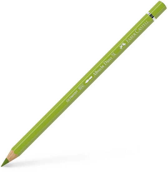 Crayon aquarellable albrecht dürer vert de mai