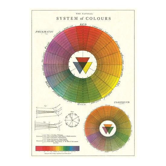 Color Chart Poster - 20x28in