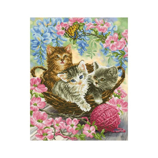 Kit créatif diamond dotz - chatons