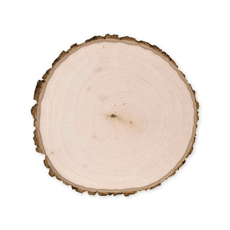 Tronçon de bois rond en tilleul – épais
